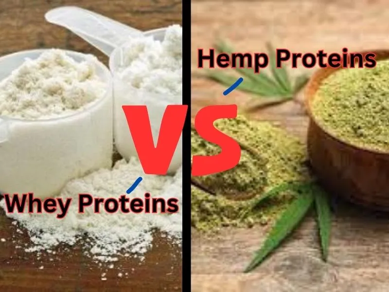 Whey vs Hemp Protein
