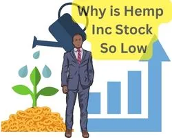 Why is Hemp Inc Stock So Low